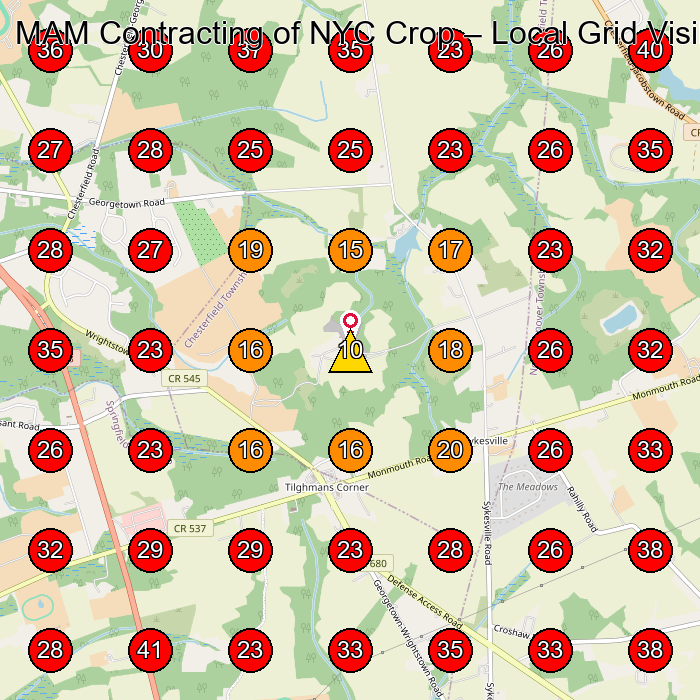 MAM Contracting of NYC Crop GeoGrid visibility map for General Contractor in None